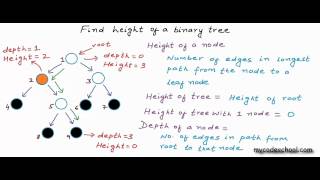 Find height of a binary tree [upl. by Pain]