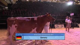 Retrospective Eurholstein Fribourg 2013 [upl. by Anaira]