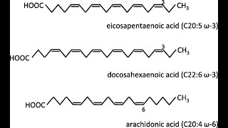 structures of Polyunsaturated Fatty acid Linoleic Alphalinolenic Eicosapentaenoic Docosahexaenoic [upl. by Russel]