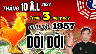 Tử vi tháng 10 âm lịch 2023 THẤY nếu Đinh Dậu 1957 tránh được 3 ngày này PHÁT TÀI [upl. by Kyte]