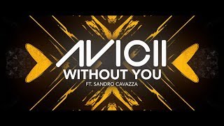 Avicii  Without You ft Sandro Cavazza Lyric Video [upl. by Ynohtnael]