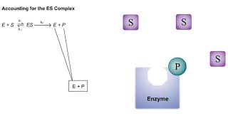 Chymotrypsin  Catalytic Mechanism of enzyme action  Biochemistry [upl. by Nnylg]