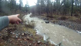 Lynx creek flood gold [upl. by Jordain289]