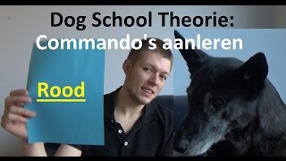 Dog School Theorie Commandos aanleren bij honden [upl. by Ahsilla]