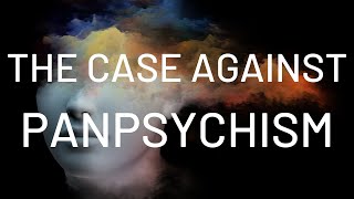 The Case Against Panpsychism w Dr Jim Madden [upl. by Remmos]