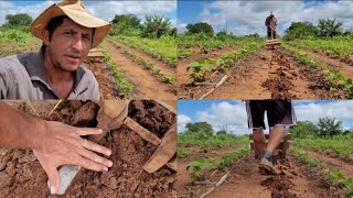 arador de terra manual feito com picareta faça o seu aradomanual [upl. by Annia71]