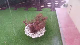 Hailstones Rain Weather Nature Amazing viralvideos [upl. by Diantha]