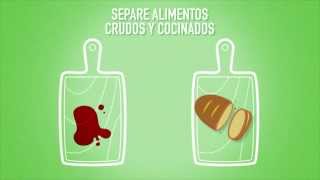 OMS Las cinco claves para la inocuidad de los alimentos versión corta [upl. by Namilus]