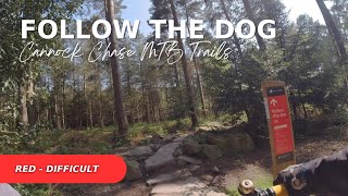 Cannock Chase MTB Trails  Follow the Dog  Difficult Red Trail [upl. by Asiar]