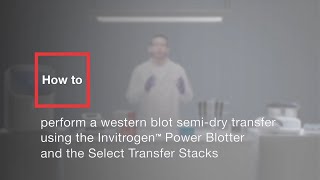 How to perform a western blot semidry transfer using Invitrogen Power BlotterampSelect Transfer Stack [upl. by Mohandis]