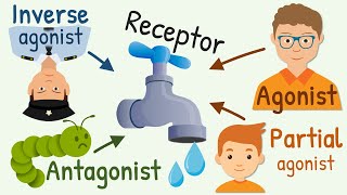 Agonist Partial Agonist Antagonist and Inverse Agonist for Receptors [upl. by Gianna]