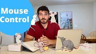 How To Get Rid of Mice  EVERYTHING You NEED to Know [upl. by Anyk208]