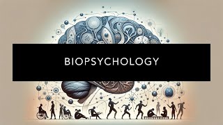 Understanding Biopsychology [upl. by Kathie]