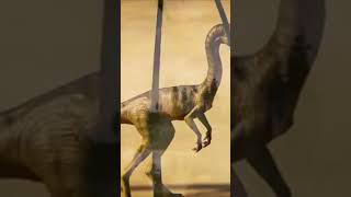 La cadena alimentaria del Jurásico documental dinosaurios tierra [upl. by Modla]