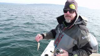 Learn How to Mooch for Salmon with Capt Keith Robbins [upl. by Denni]