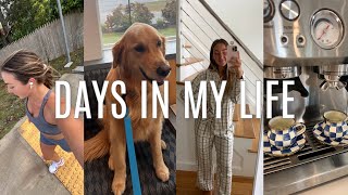 VLOG 9 mile run Brodys vet appt snack haul w Lucy etc [upl. by Edylc]