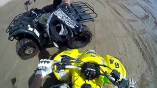 Yamaha Raptor 660R vs Bombardier DS650 vs Suzuki lt Z 400 vs Yamaha Kodiak 450 Florence Oregon [upl. by Prendergast599]