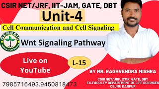 Wnt Signaling Pathway  Wntβcatenin pathway  Cell Communication amp Cell Signaling L 14 Unit4 [upl. by Ninette]