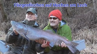 Fliegenfischen auf Huchen am Lech  Fly Fishing in Germany Giant Catch [upl. by Hildebrandt548]