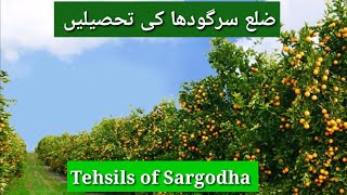 Tehsils of District Sargodha [upl. by Eilata]