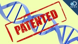 Gene Patents 5 Things You Should Know [upl. by Alcott]