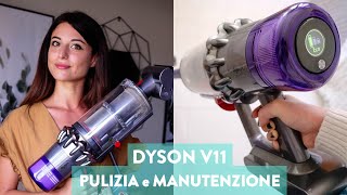 RECENSIONE DYSON V11 Absolute 599€ BEN SPESI  PULIZIA E MANUTENZIONE aspirapolvere senza fili [upl. by Artima]