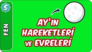 Ayın Hareketleri ve Evreleri 5 Sınıf Fen evokul Kampı [upl. by Ydiarf]