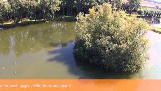 The Carp Specialist  Het Broek  Carp Lake  An areal view [upl. by Joni]