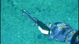 Pescasub Pesca in Tana con Fiocina Omer 4 Punte Mustad e Sorpresa Finale  Spearfishing [upl. by Wilfrid90]