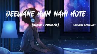 Deewane Hum Nahi Hote New lofi song  SlowedReverb2023 Editing By  hgeditor021 [upl. by Arreip727]