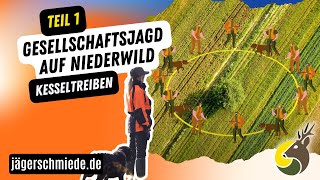 🐰Gesellschaftsjagd auf Niederwild  Kesseltreiben Teil 12 🐰 Jagdpraxis leicht erklärt [upl. by Rogerson456]