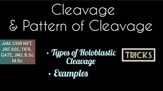 Holoblastic cleavage amp its Types  With Tricks amp Examples [upl. by Erdnuaed]