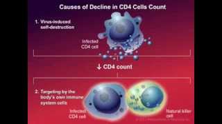 How HIV Causes Disease [upl. by Haidadej558]