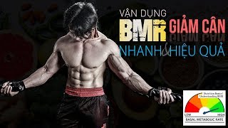 BMR là gì  Cách vận dụng BMR giảm cân nhanh và hiệu quả [upl. by Eelitan]