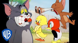 Tom amp Jerry  Animal Kingdom  Classic Cartoon Compilation  WB Kids [upl. by Thebault]