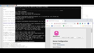 How to Enable HTTPS on WAMP Server [upl. by Gati]