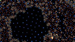 Chromatophore Development [upl. by Grobe]