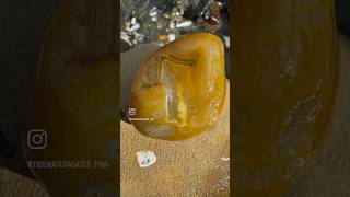 What a beautiful agate 😍agates agate agatehunting rockhounding rockhound beachcombing [upl. by Zolly]