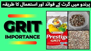 Grit for Birds  Benefits of Grit  Ingredients and Usage [upl. by Nagah]