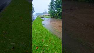 Beaver Dam Creek Is Flooding In My Yard After Tropical Storm Dumps 10inches Of Rain shorts [upl. by Maidie]