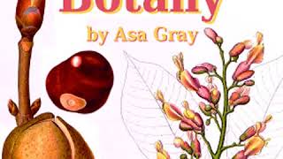 The Elements of Botany by Asa GRAY read by Various Part 12  Full Audio Book [upl. by Aehtla]