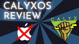 CalyxOS Review  3 weeks with a DeGoogled Phone  I now only recommend GrapheneOS [upl. by Puduns297]