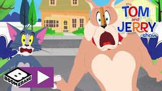 Tom amp Jerry  Little Monster  Boomerang UK [upl. by Anial]