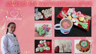 Curso de Marshmallow  Aula 1  Introdução [upl. by Nadruoj]