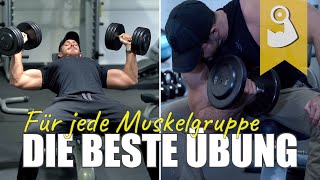 Die beste Übung für jede Muskelgruppe [upl. by Pattie398]