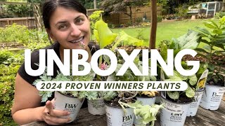 Unboxing New 20232024 Proven Winners Perennials from Walters Gardens [upl. by Adnahs335]