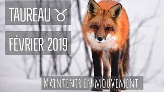 TAUREAU ♉︎⎜FÉVRIER 2019 ⎜Maintenir en mouvement [upl. by Machos228]