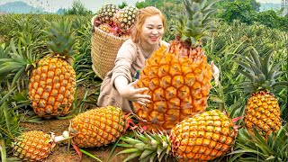 Harvest Giant Pineapple Hill  StirFried Pork With Pineapple Is A Frugal Dish Goess to market sell [upl. by Cheslie]