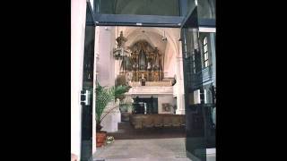 Toccata und Fugue in A Moll  Johann Ludwig Krebs [upl. by Hermosa]