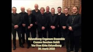 Kalundborg Organum Ensemble  Crucem Sanctam Subiit [upl. by Acilef265]